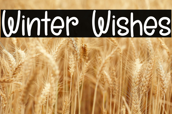 Winter Wishes Example 2