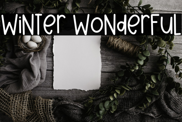 Winter Wonderful Example 1