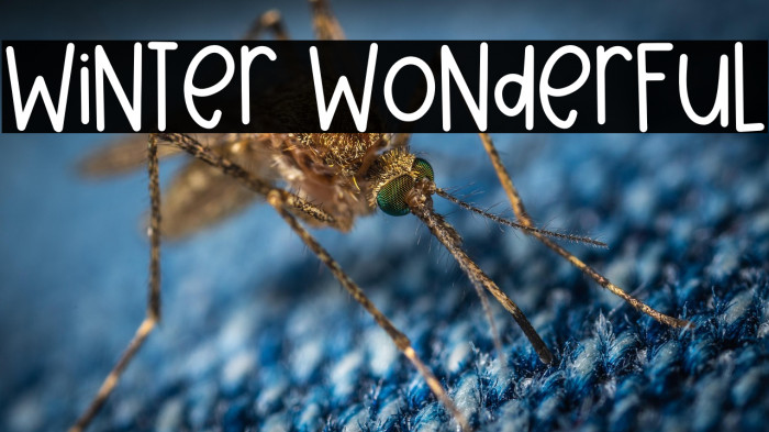 Winter Wonderful Example 3