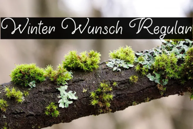 Winter Wunsch Regular Example 1