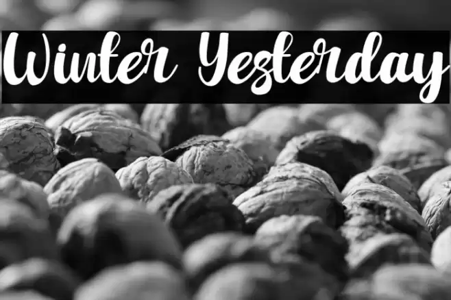 Winter Yesterday Font examples