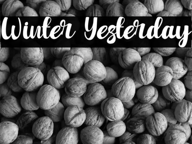 Winter Yesterday Font examples