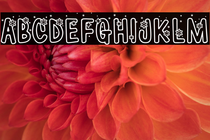 Winter * Yeti Regular Example 1