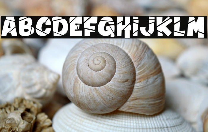 Winter in Alaska_PersonalUseOnly Example 1