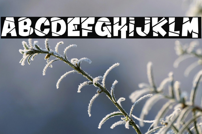 Winter in Alaska_PersonalUseOnly Example 2