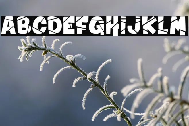 Winter in Alaska_PersonalUseOnly Example 2