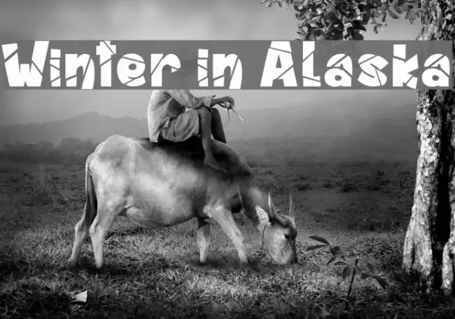 Winter in Alaska Font examples