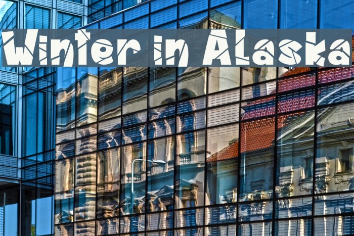 Winter in Alaska Example 3