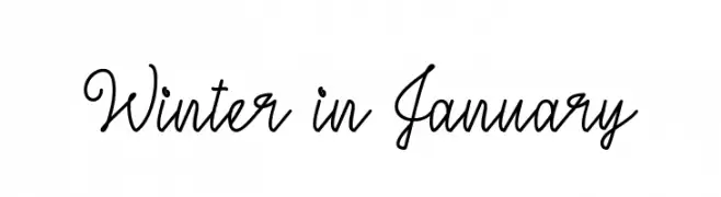 Winter in January  Fuentes Gratis Descargar