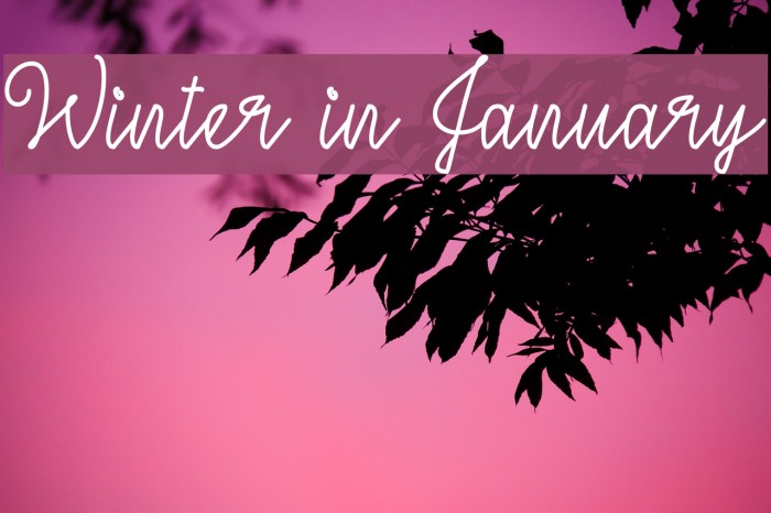 Winter in January Caratteri examples