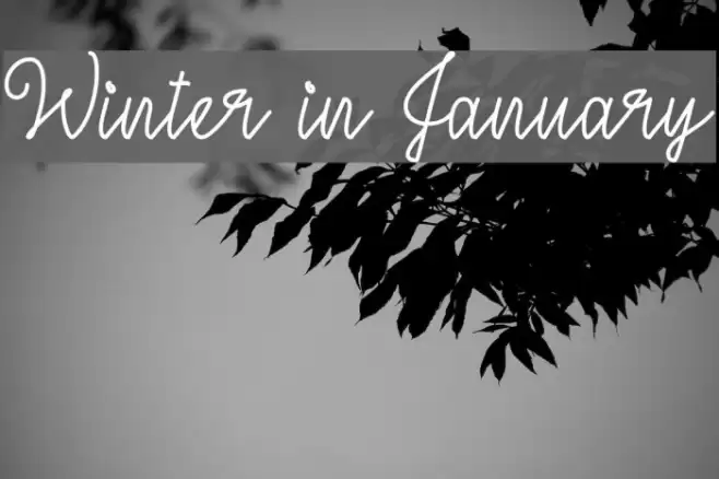 Winter in January Schriftart examples