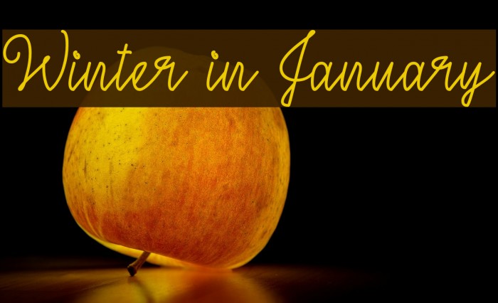 Winter in January Caratteri examples