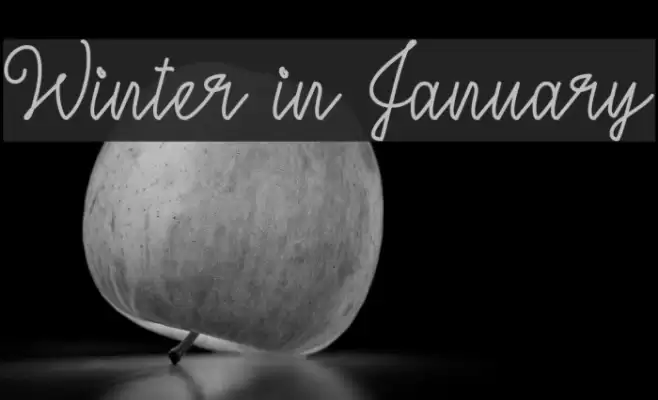 Winter in January Schriftart examples