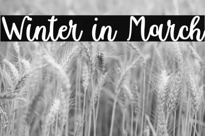 Winter in March Font examples