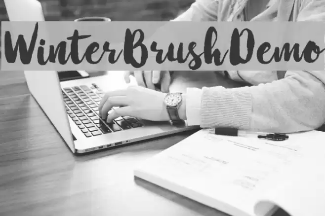 WinterBrushDemo Font examples