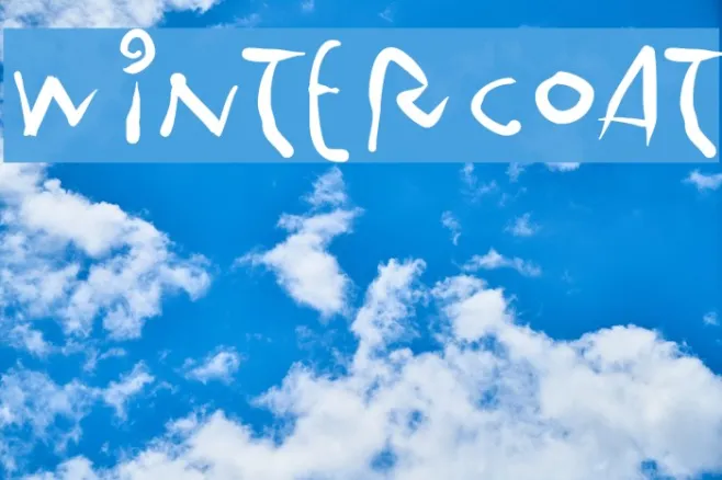 WinterCoat Example 3
