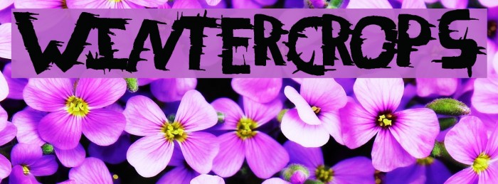 WinterCrops Font examples