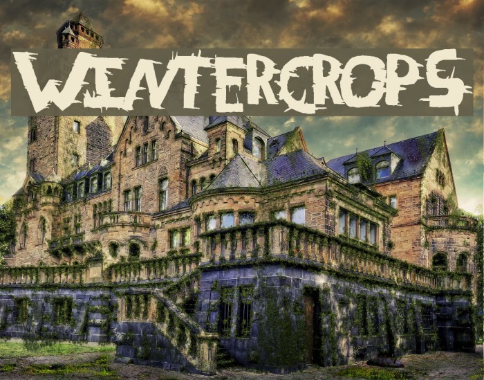 WinterCrops Font examples