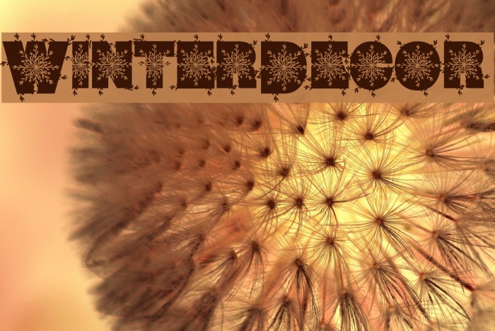 WinterDecor Font examples