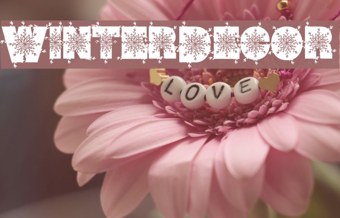 WinterDecor Font examples
