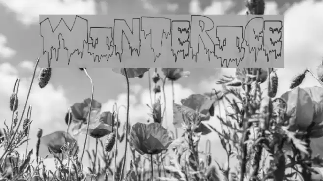 WinterIce Font examples