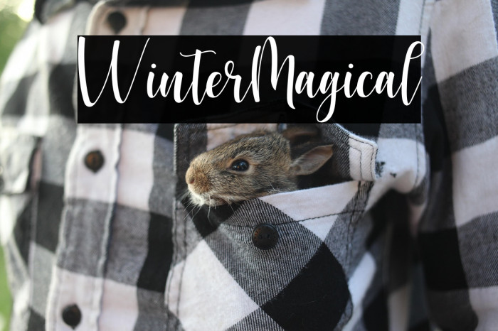 WinterMagical Example 1