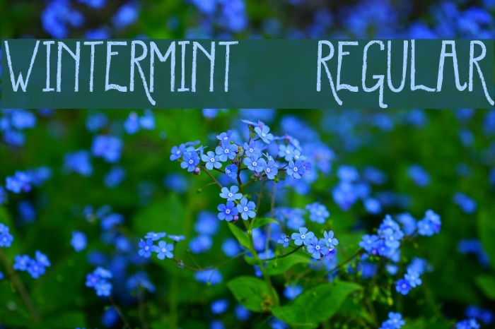 WinterMint-Regular Example 2