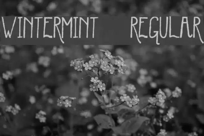 WinterMint-Regular Font examples