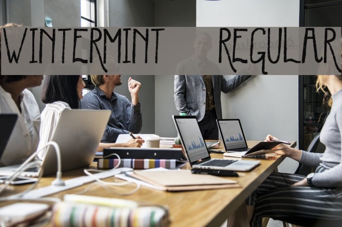 WinterMint-Regular Example 3