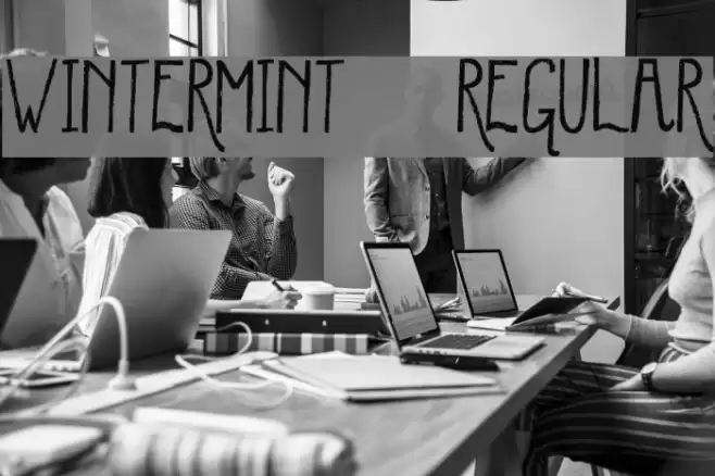 WinterMint-Regular Font examples