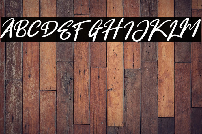 WinterSnowRegular फ़ॉन्ट examples