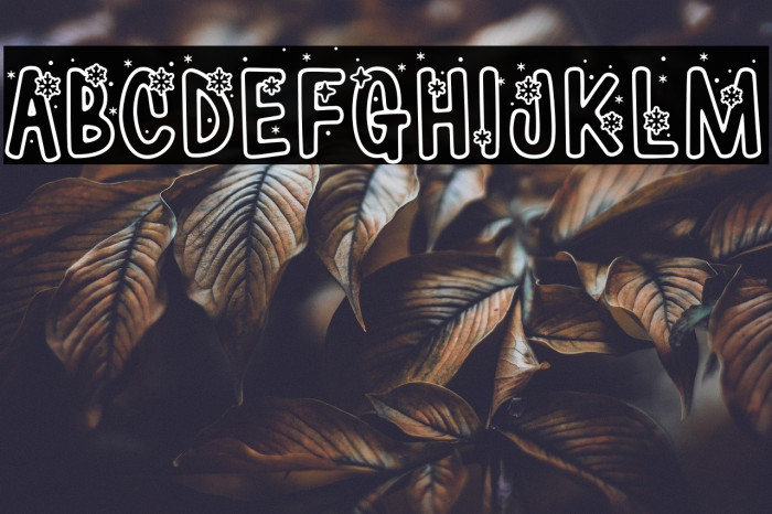 WinterYeti-Regular Example 2