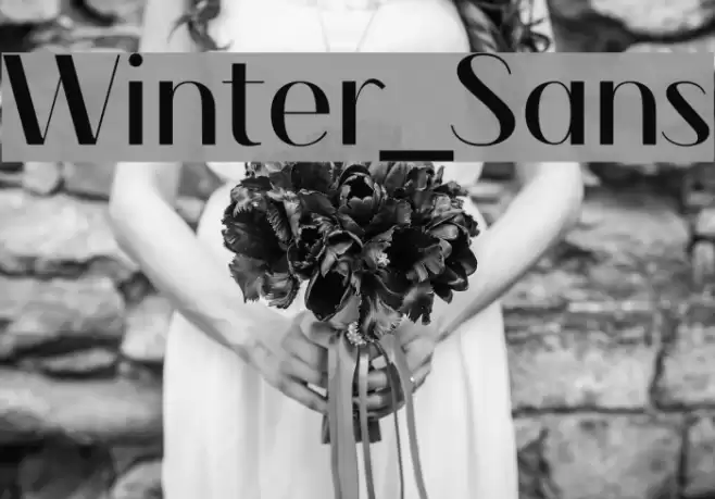 Winter_Sans Font examples