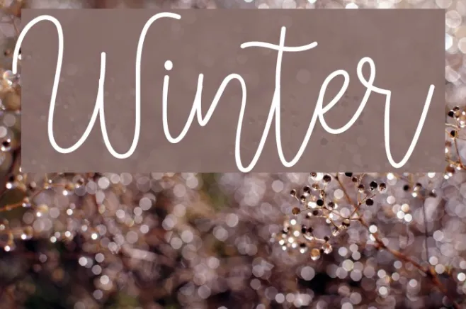 Winter Example 2