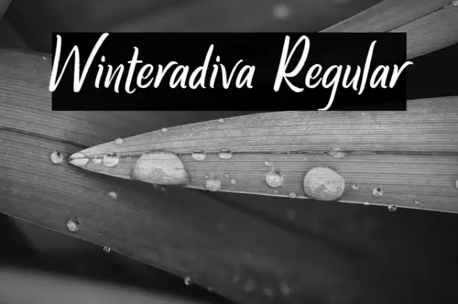 Winteradiva Regular Font examples