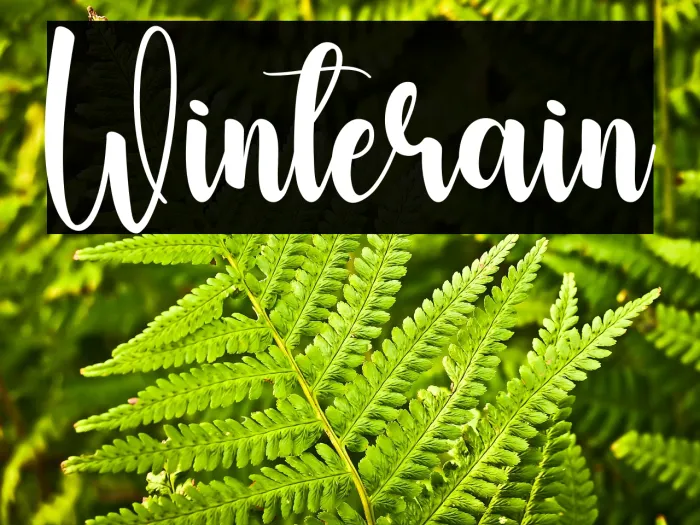 Winterain Example 3