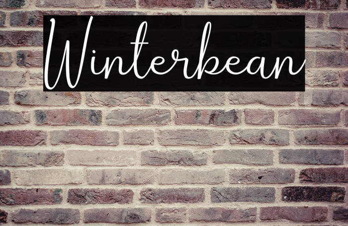 Winterbean Font examples