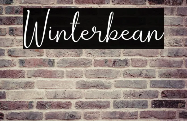 Winterbean Example 1