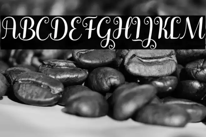 Winterday Font examples