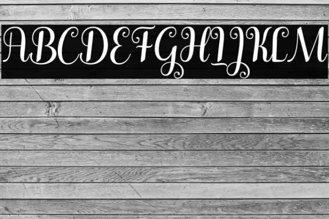 Winterday Font examples