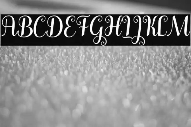 Winterday Font examples