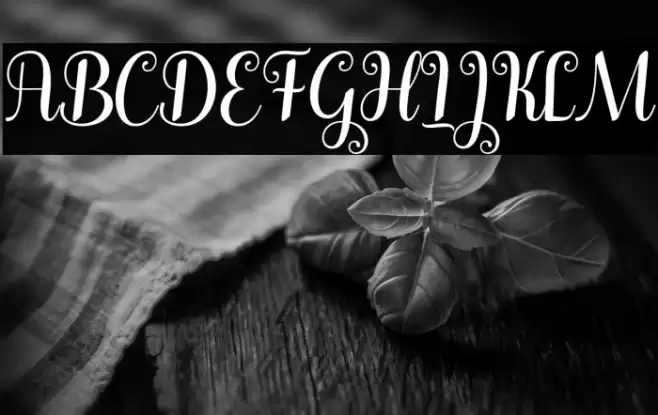 Winterday Font examples