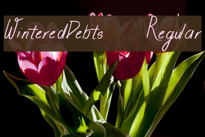 WinteredDebts-Regular Font examples