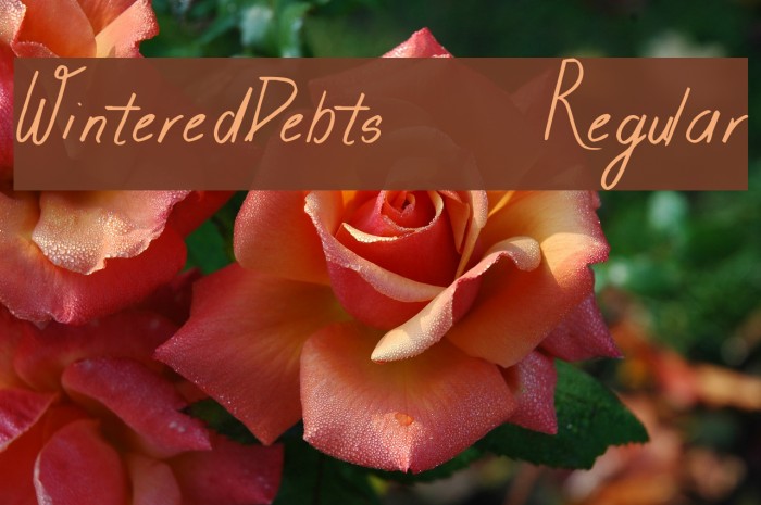 WinteredDebts-Regular Font examples
