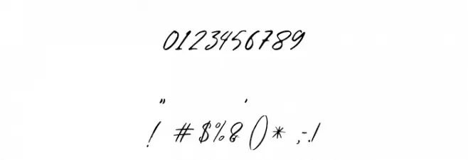 WinterfelliaFreePersonalUse Font OTHER CHARS