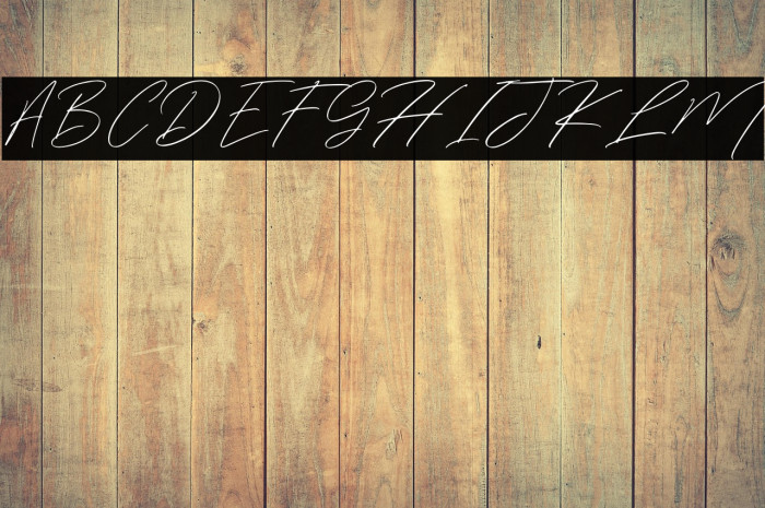 WinterfelliaFreePersonalUse Example 2