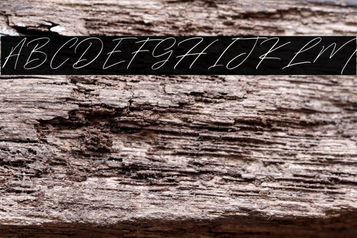 WinterfelliaFreePersonalUse Example 3