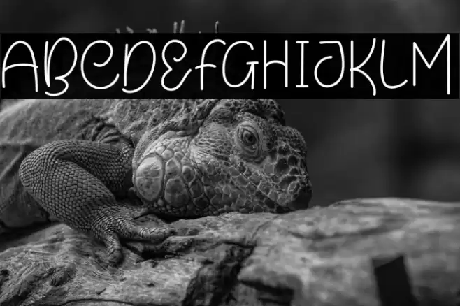 Winterfun Font examples