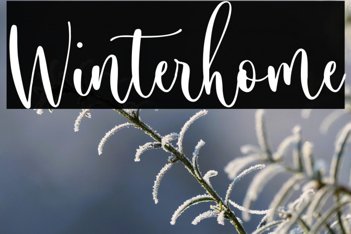 Winterhome Example 1