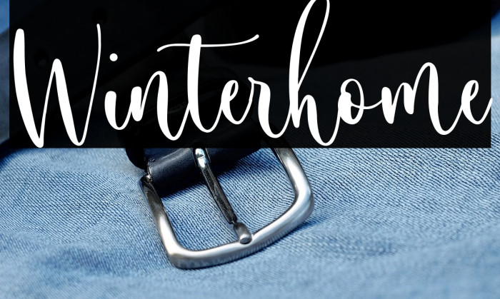 Winterhome Example 2